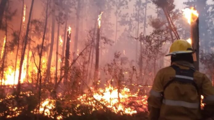 Incendios en Misiones