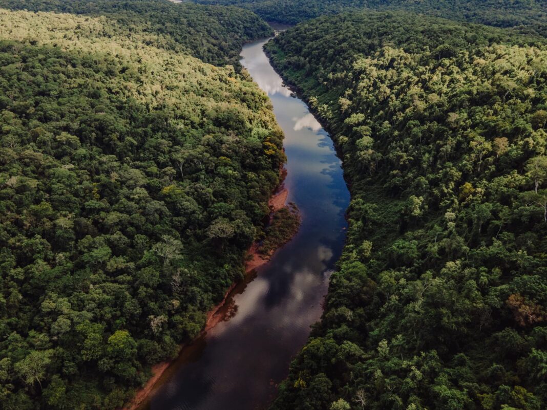 Bosques nativos