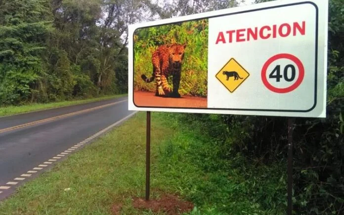 Parque Nacional Iguazú