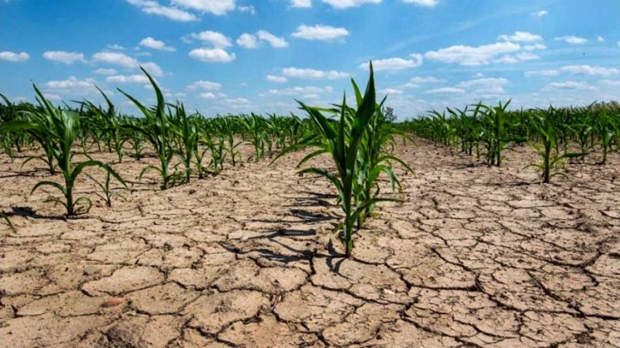 Cambio climático