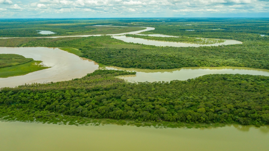 Parque Nacional El Impenetrable AUDIO