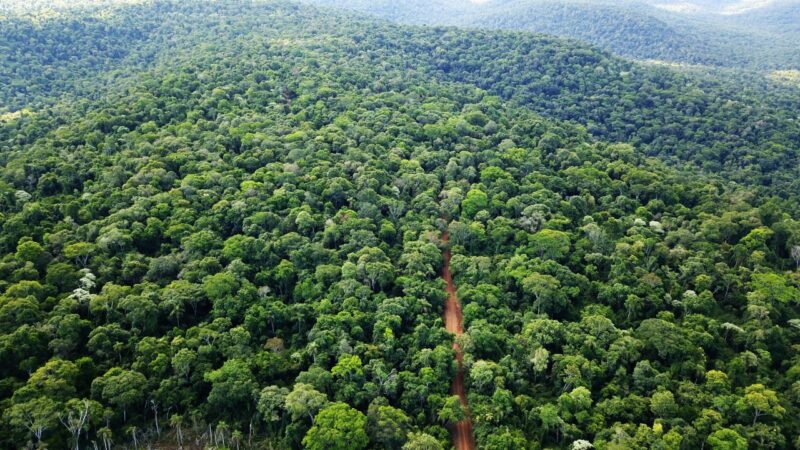 áreas naturales protegidas de Misiones