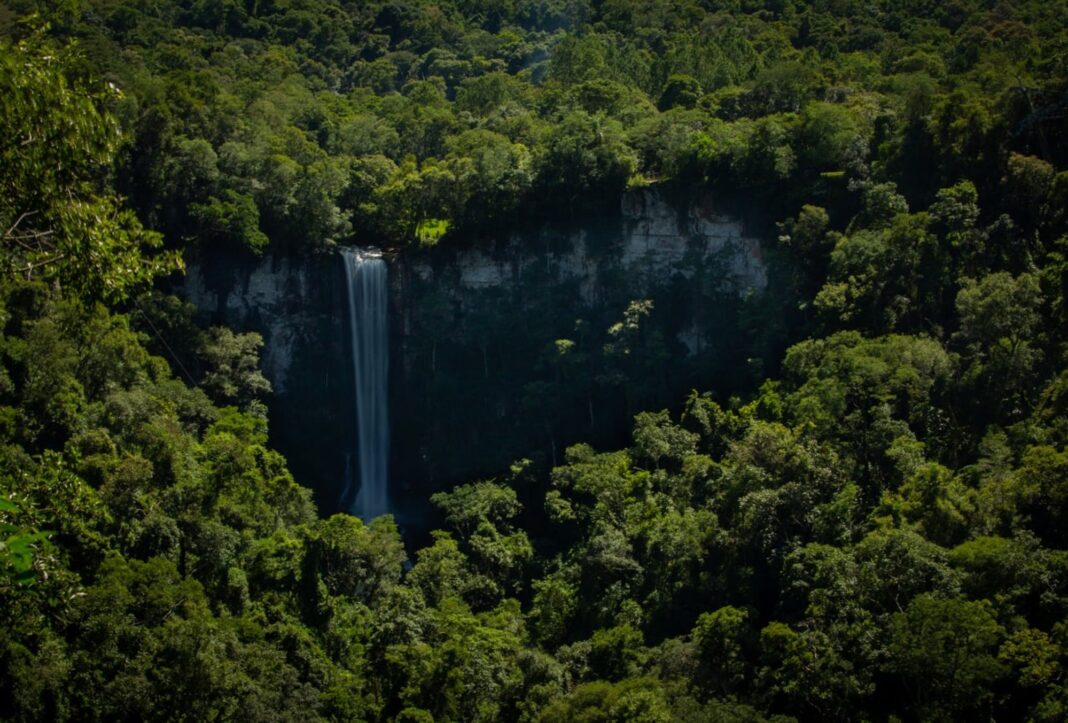 Día Mundial de Protección de la Naturaleza