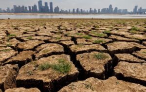 consecuencias del cambio climático