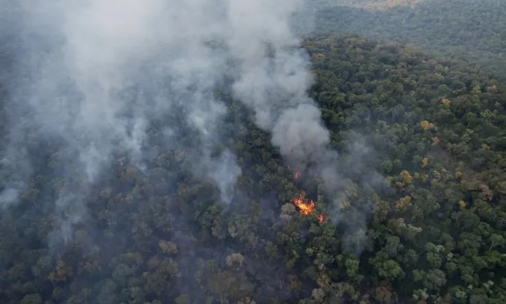 incendios forestales