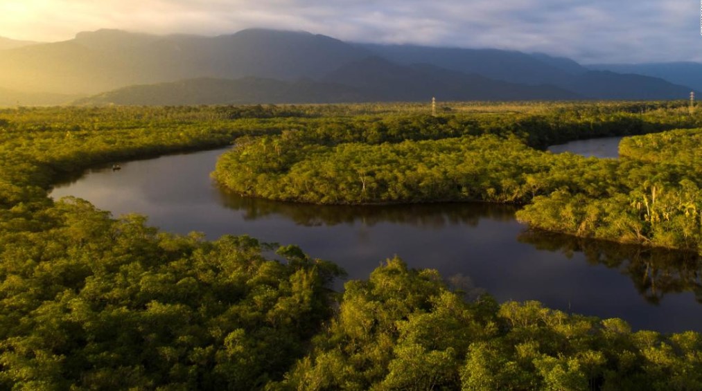 AMAZONAS