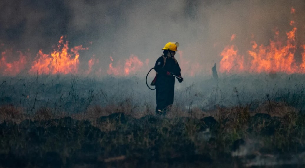 emergencia Ígnea