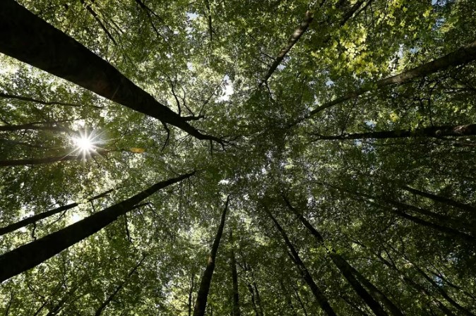 Cambio climático