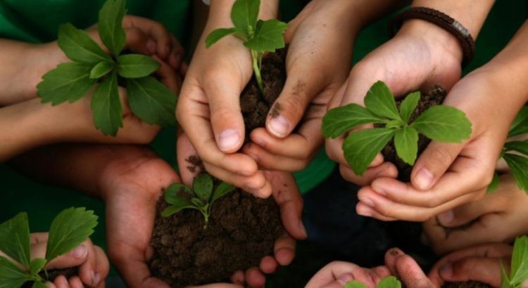 Día Mundial de la Educación Ambiental