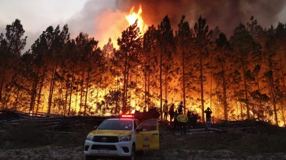 Incendios forestales en Corrientes