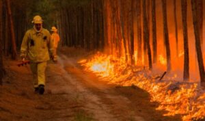 Incendios forestales en Corrientes