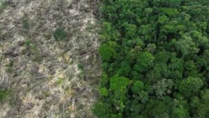La ONU posiciona a la Amazonía como clave en la lucha contra el hambre y la crisis climática