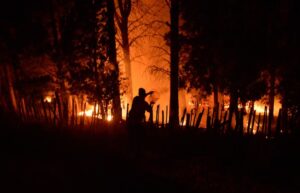 Alerta roja en Misiones: despliegan sistema de monitoreo para proteger la selva del riesgo extremo de incendios