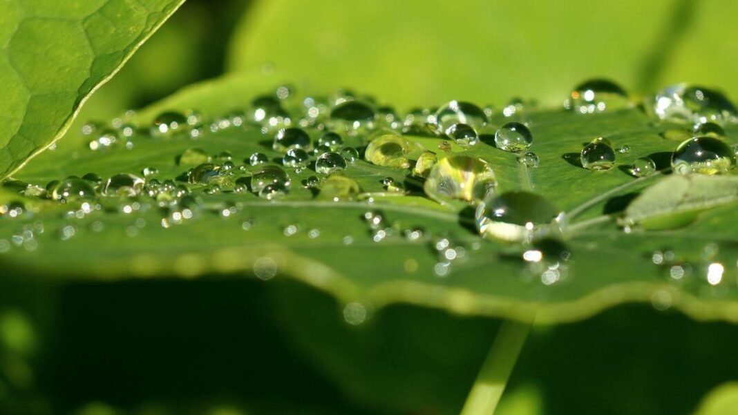 Científicos generan electricidad a partir de gotas de lluvia