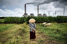 China reduce las emisiones de carbono