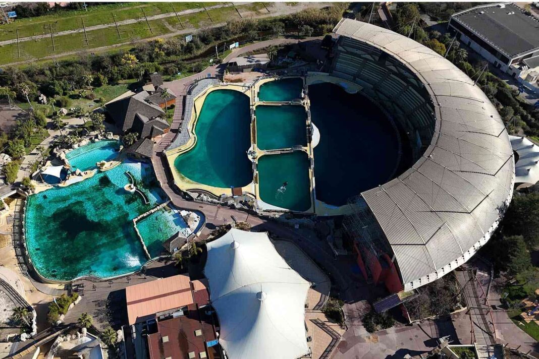 Orcas y delfines abandonados en Marineland Antibes