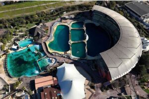 Orcas y delfines abandonados en Marineland Antibes