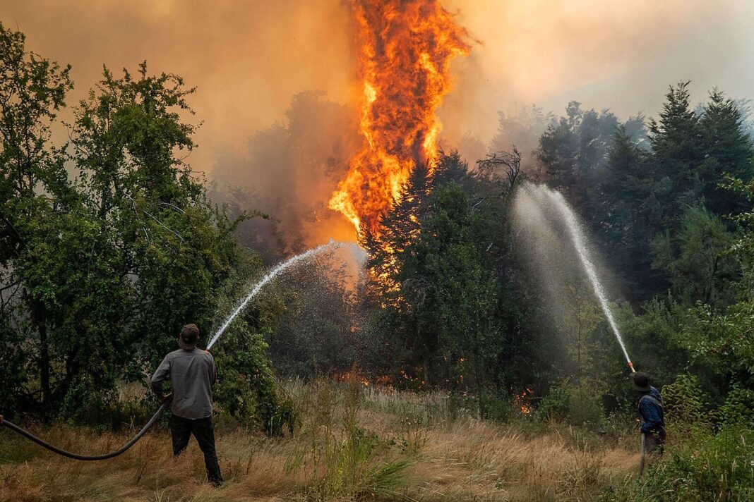 Incendios en la Patagonia