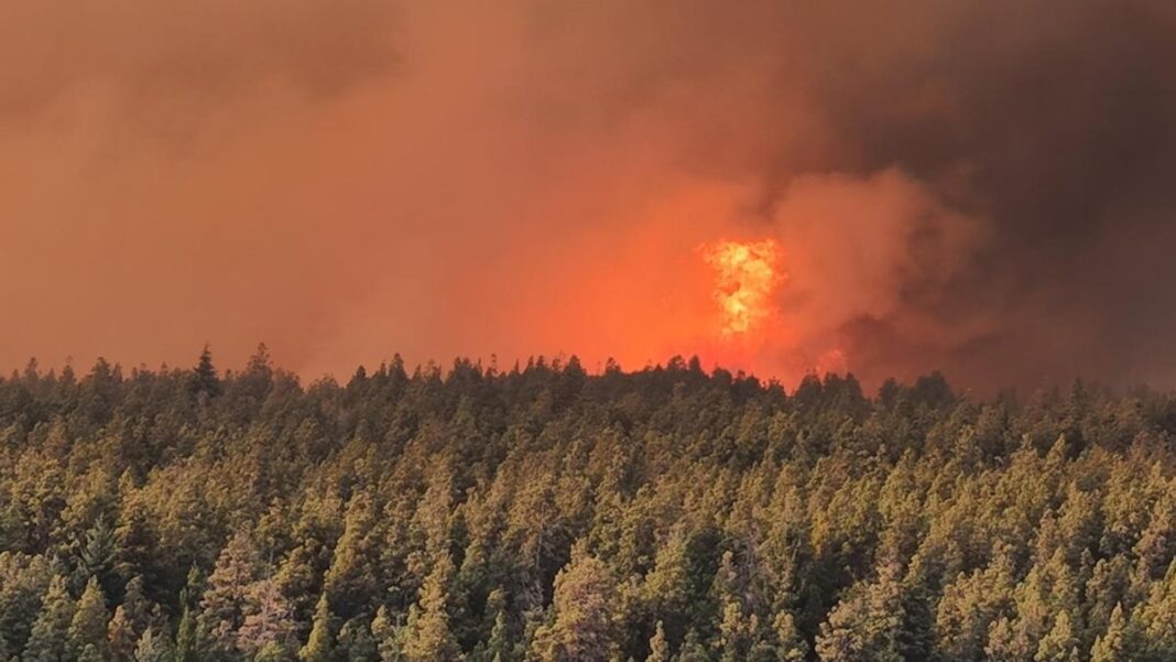 Alarma en la Paragonia por los incendios forestales