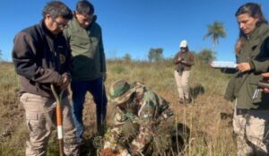 Restauración de los pastizales del Teyú Cuaré: una acción estratégica para conservar la biodiversidad única de Misiones