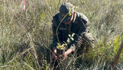 Restauración de los pastizales del Teyú Cuaré: una acción estratégica para conservar la biodiversidad única de Misiones