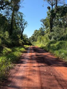 CAF impulsa programa en Misiones para conservar la Selva Misionera y proteger el 52% de la biodiversidad argentina