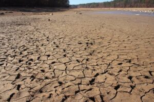 Día mundial de lucha contra la Desertificación y la Sequía