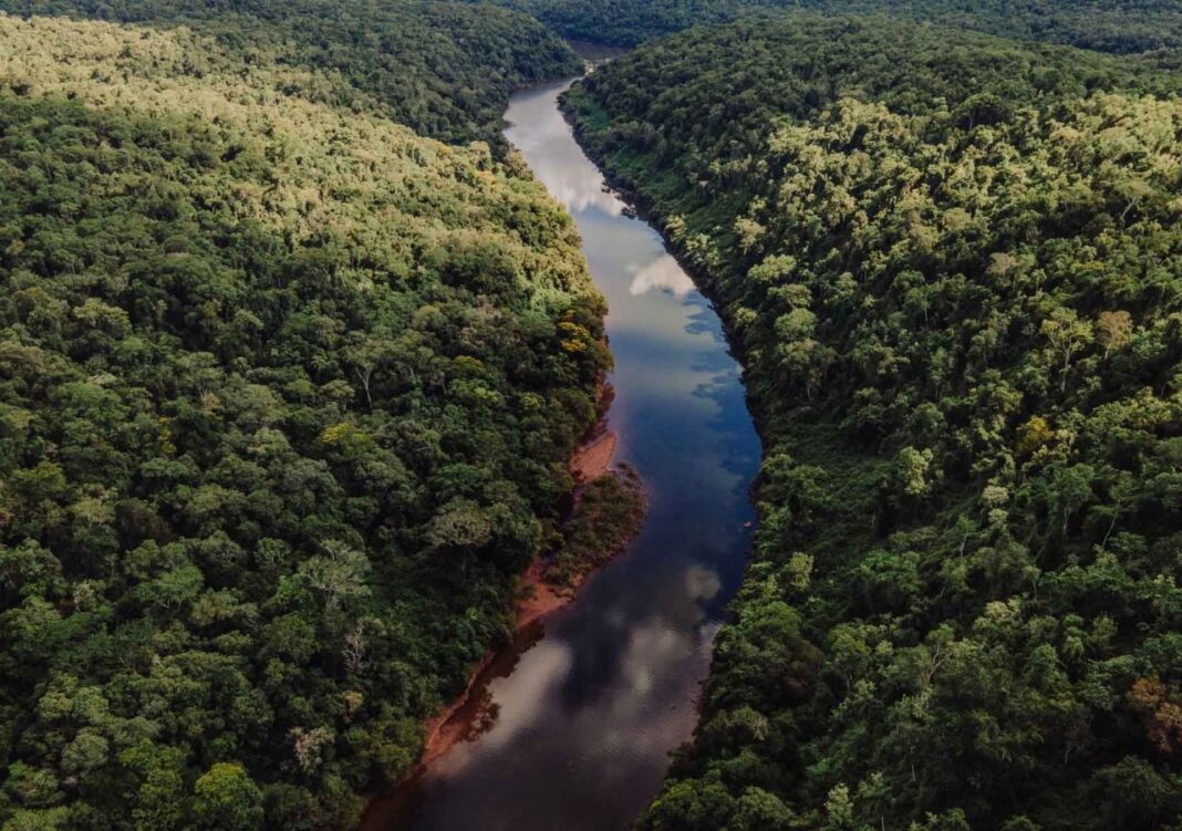 Misiones celebra el Día de las Áreas Naturales Protegidas con más de 500.000 hectáreas bajo conservación
