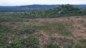 Ministerio de Ecología intervino en Caraguatay tras denuncia de comunidad Mbya por actividades en el monte