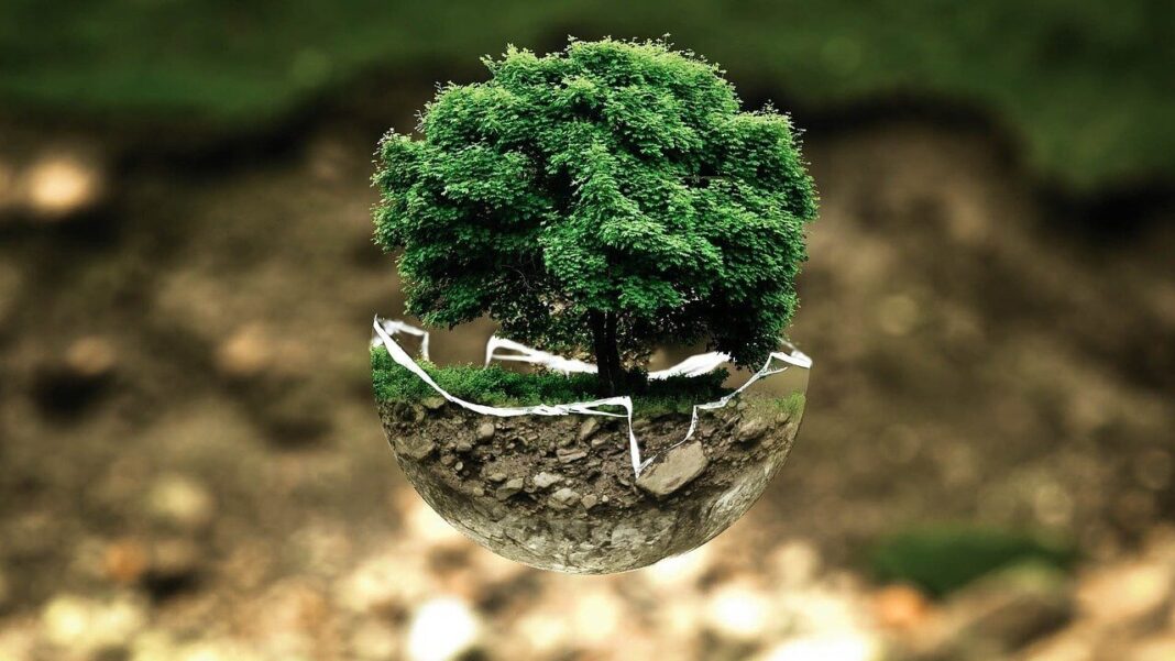 Epson Argentina celebra el Día Mundial del Ambiente