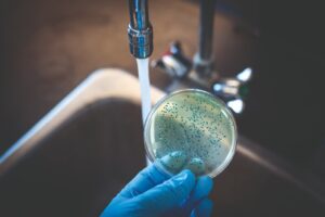 Biofilms bacterianos y metales en las cañerías: una amenaza silenciosa para la calidad del agua potable