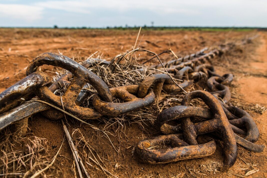 El correntão en Brasil: deforestación legal que arrasa el Cerrado y amenaza la biodiversidad