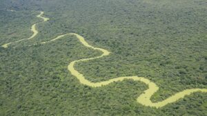 Parque Nacional el Impenetrable (Chaco)