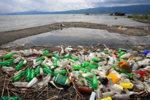 Contaminación plástica