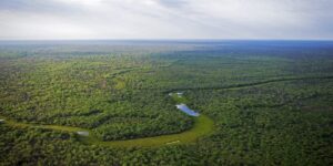 UBA y FAO firmaron un acuerdo para investigar la regeneración de bosques en el Parque Chaqueño en FAUBA