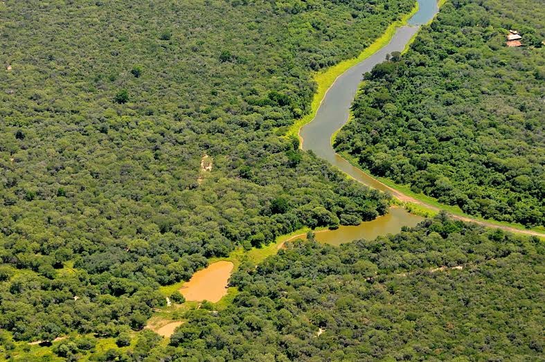 UBA y FAO firmaron un acuerdo para investigar la regeneración de bosques en el Parque Chaqueño en FAUBA
