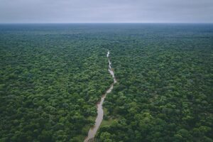 UBA y FAO firmaron un acuerdo para investigar la regeneración de bosques en el Parque Chaqueño en FAUBA