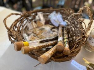 Feria Local de Intercambio de Semillas Nativas y Criollas – Montecarlo, Misiones