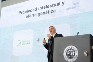 El nuevo camino del algodón: biotecnología y sustentabilidad para una cadena más competitiva