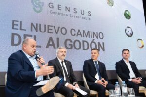 El nuevo camino del algodón: biotecnología y sustentabilidad para una cadena más competitiva