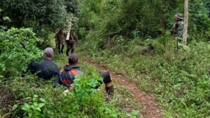 Operativo en la Reserva de Biósfera Yabotí: guardaparques interceptan a dos cazadores furtivos brasileños