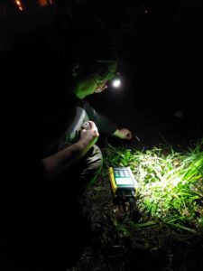 Detectan microplásticos en el río Paraná en Misiones: estudian su efecto en la fauna acuática