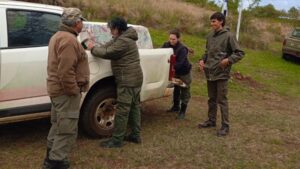Liberan en Fachinal un venado pardo rehabilitado en el Parque Ecológico El Puma