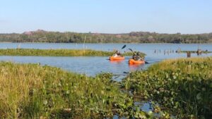 Protección de la biodiversidad: operativo de control en el Parque Federal Campo San Juan