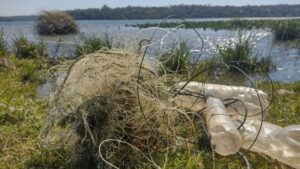 Protección de la biodiversidad: operativo de control en el Parque Federal Campo San Juan