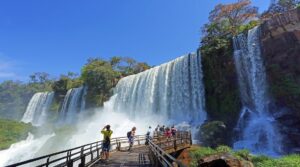 Parque Nacional Iguazú avanza con un plan integral para preservar la Selva Paranaense