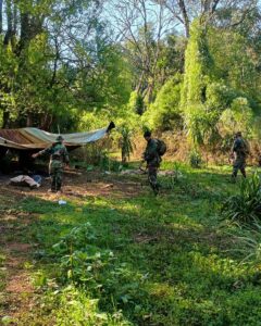 Misiones: guardaparques desmantelaron estructuras de caza furtiva en inmediaciones del Parque Provincial Piñalito