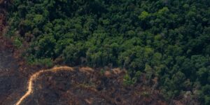 La Amazonía bajo presión: la deforestación seca el mayor bosque tropical del planeta