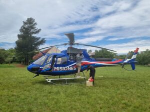 Misiones concretó un operativo inédito: rescataron y trasladaron a la yaguareté “Pará” y sus crías a un área protegida segura