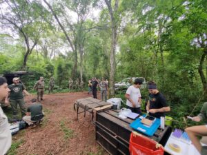 Misiones concretó un operativo inédito: rescataron y trasladaron a la yaguareté “Pará” y sus crías a un área protegida segura